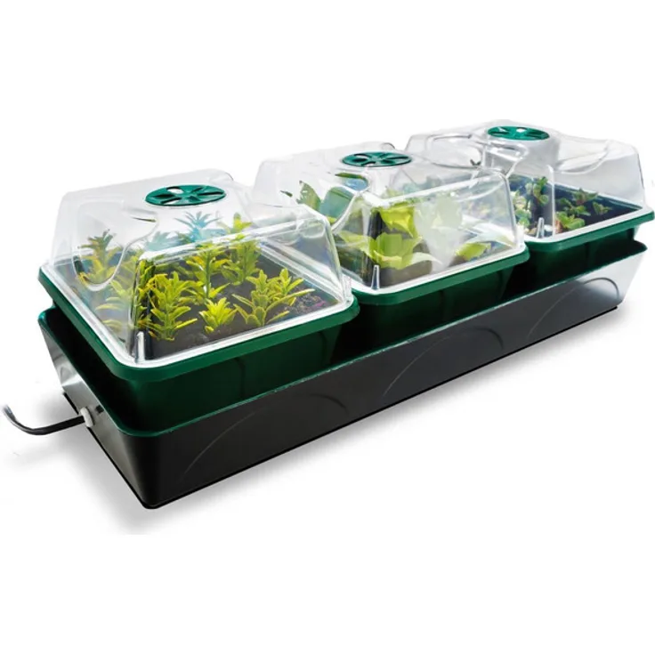 Bio Green Hollandia Anzucht-Set