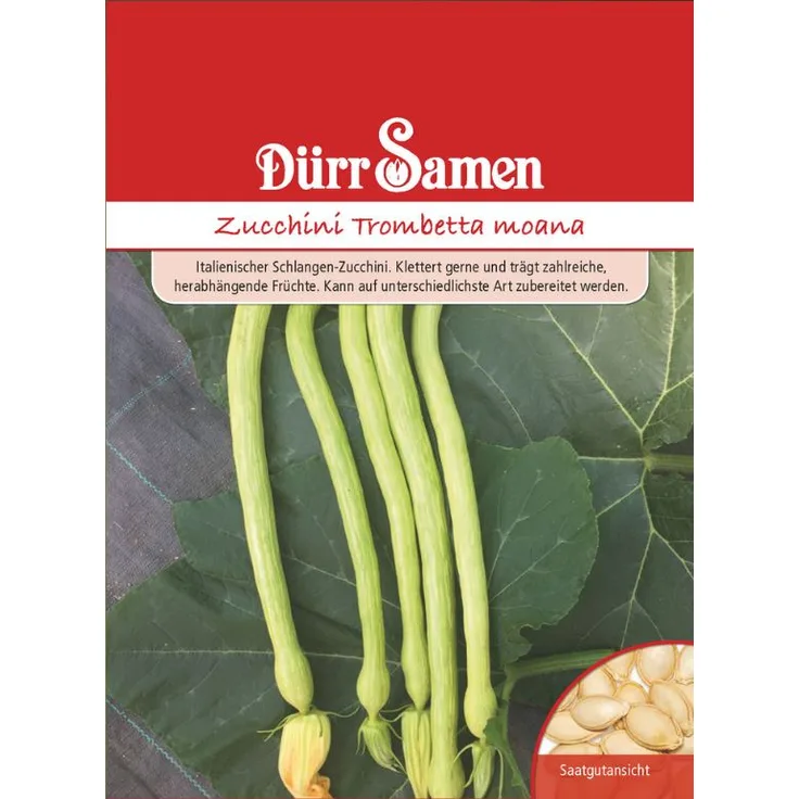 Dürr Samen 4448 Zucchini Trombetta moana (Zucchinisamen)