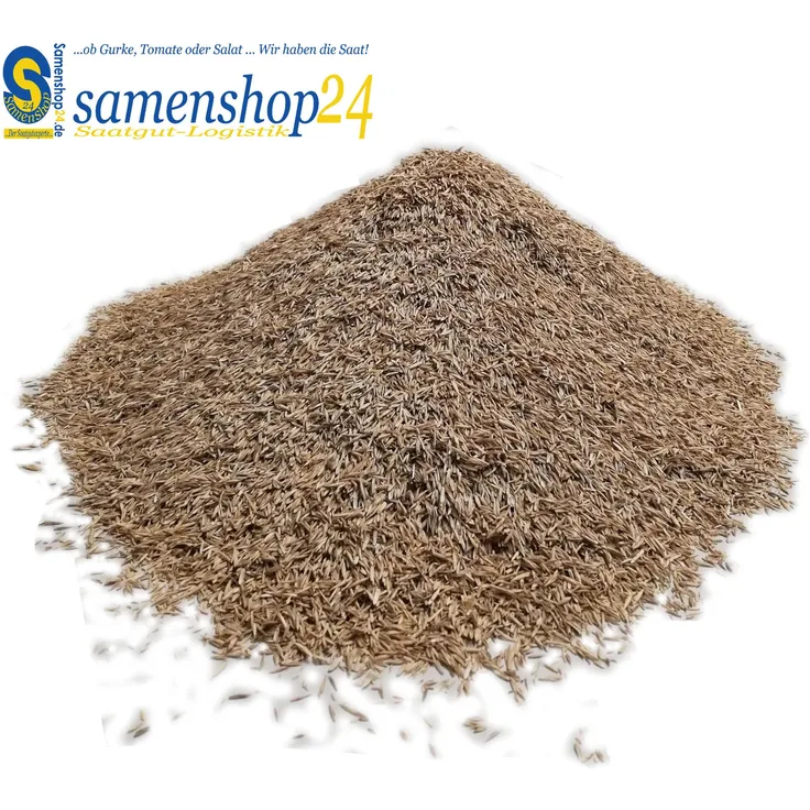 Samenshop24 Schattenrasen mit Poa supina 1kg für 50m²