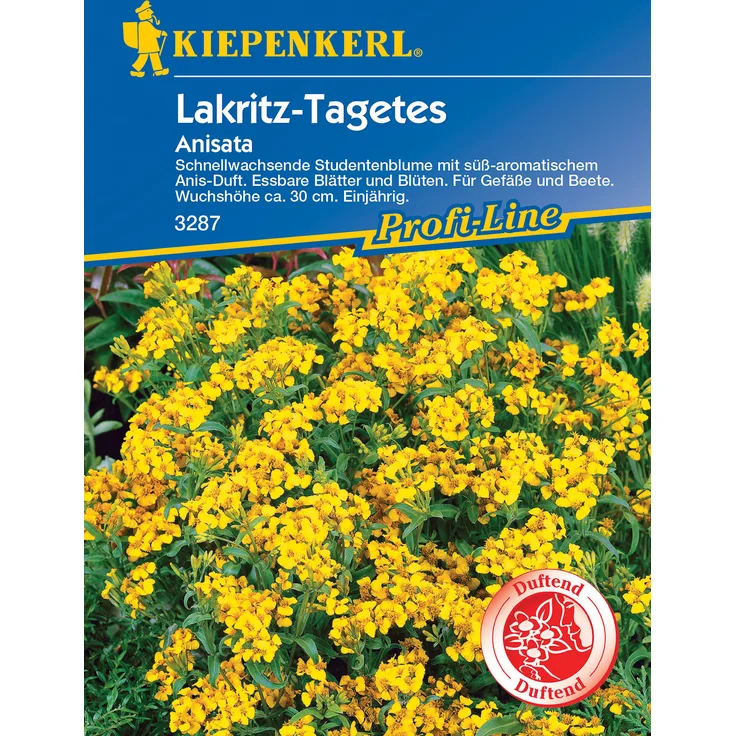 Lakritz-Tagetes Anisata, schnellwachsende Studentenblume mit süß-aromatischem Anis-Duft, essbare Blätter und Blüten