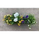 Blumixx Bags Sommerblumen 40 cm blau-weiß-gelb Sonne