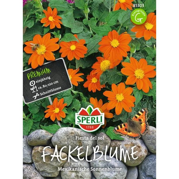Sperli Fackelblume Tithonie Fiesta del Sol – Bild 1