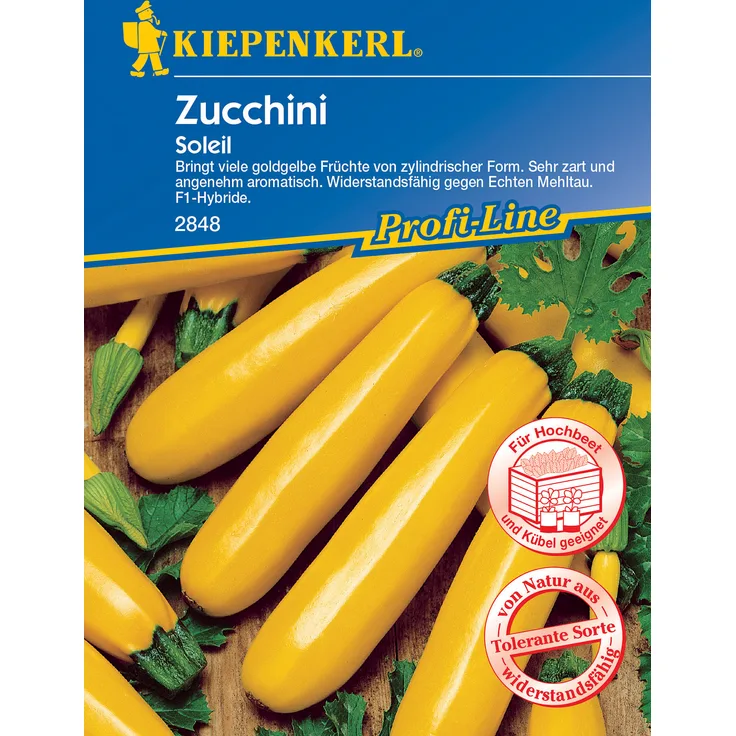 Kiepenkerl Zucchini Soleil F1, sehr zart und aromatisch, nicht rankend, trägt viele goldgelbe Früchte von zylindrischer Form