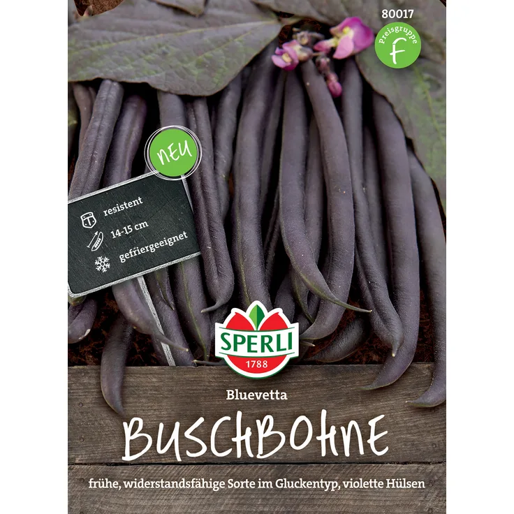 Sperli Buschbohne Bluevetta, reifen früh und schmecken sehr aromatisch, von Natur aus widerstandsfähig und robust