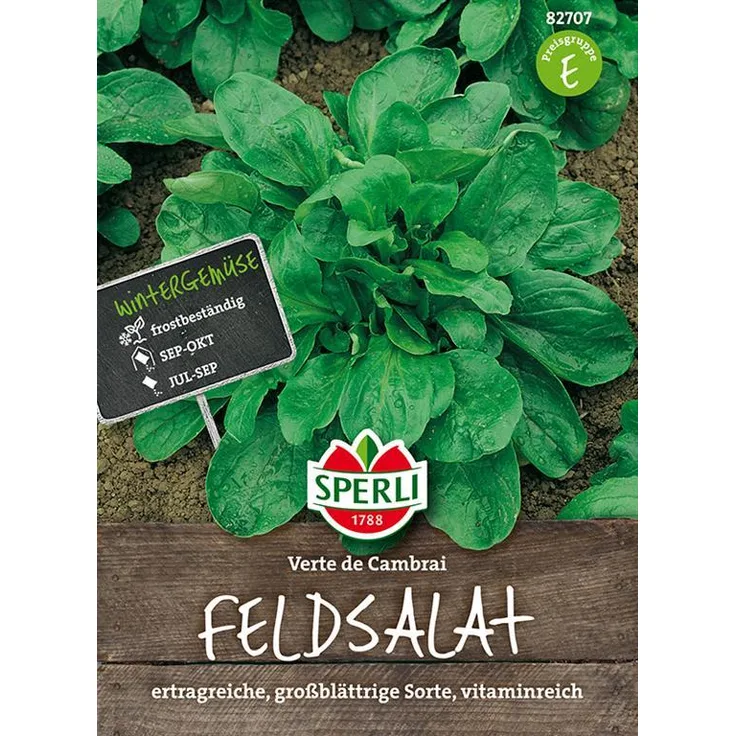 Sperli Feldsalat Verte de Cambrai (Rapunzel)