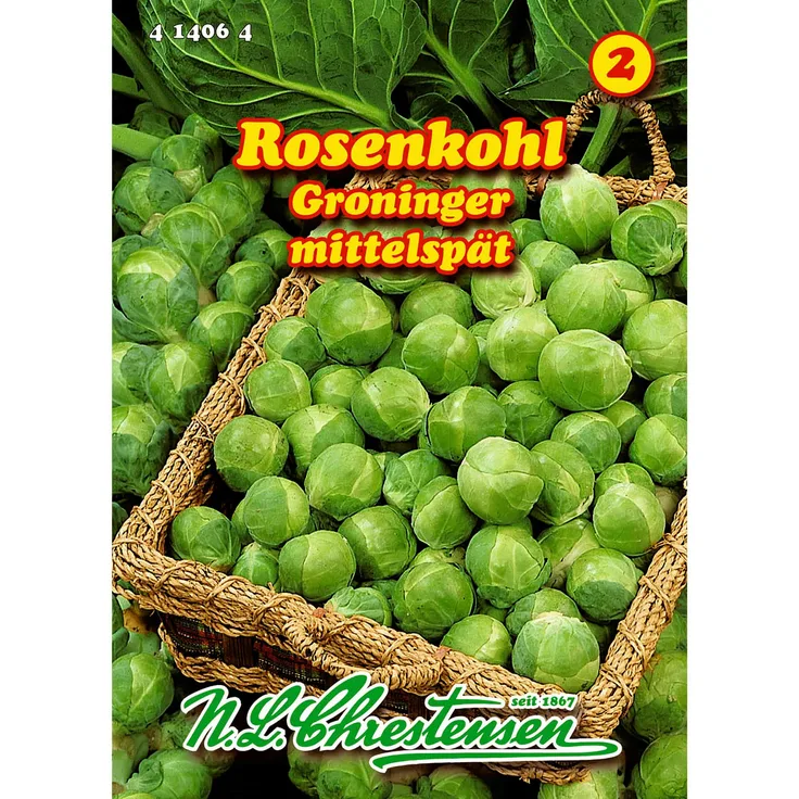 N.L. Chrestensen Rosenkohl, Groninger für etwa 120 Pflanzen