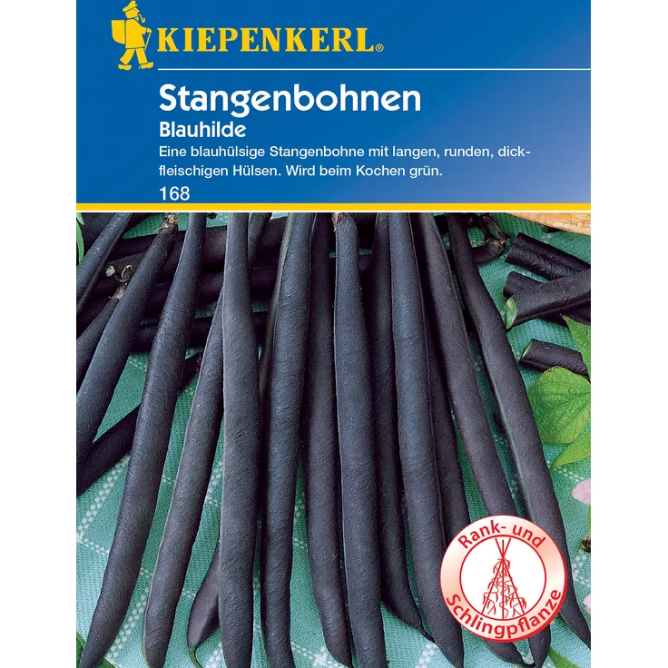 Kiepenkerl Stangenbohne Blauhilde, beliebte blauhülsige Stangenbohne ohne Fäden, widerstandsfähig