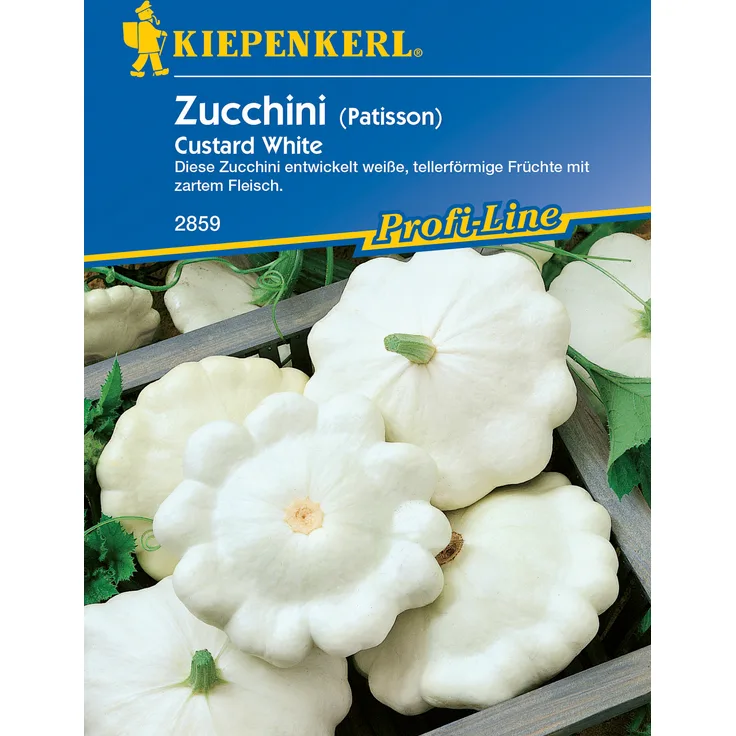 Kiepenkerl Zucchini Custard White, entwickelt weiße tellerförmige Früchte mit zartem Fleisch, essbar oder als Deko