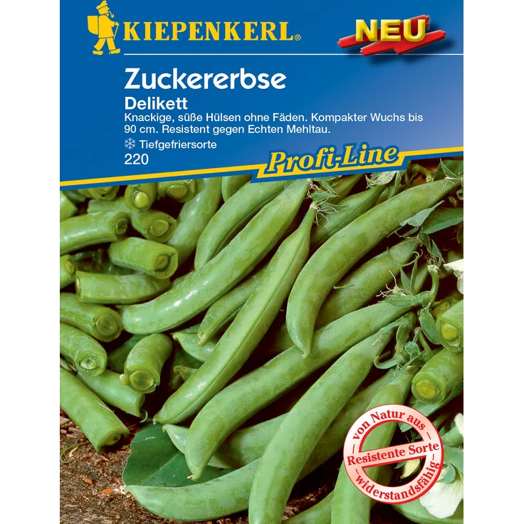 Kiepenkerl Zuckererbse Delikett, knackige süße Hülsen ohne Fäden. kompakter Wuchs bis 90 cm, resistent gegen Echten Mehltau