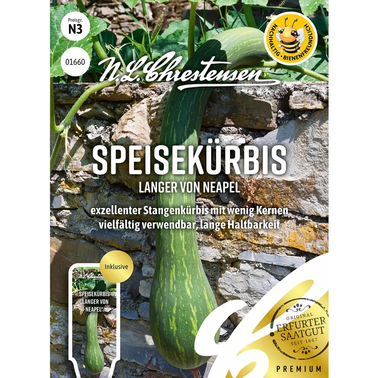 N.L. Chrestensen Speisekürbis Langer von Neapel
