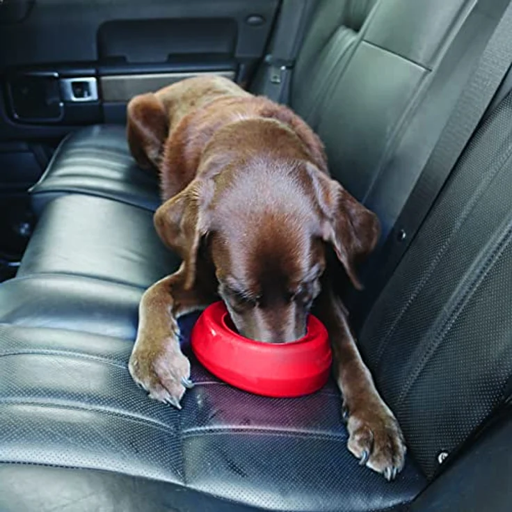 Kurgo Anti-Schlabber-Napf Splash-Free Wander Water Bowl, auslaufsicherer Napf aus lebensmittelechtem Silikon, 710 ml, rot – Bild 5