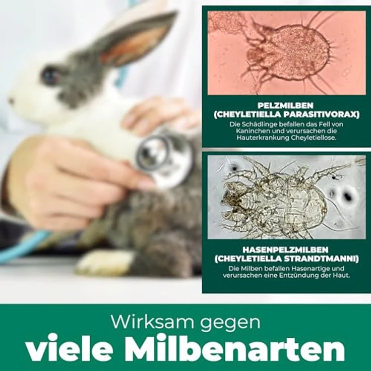 Silberkraft Milbenspray für Hase/Kaninchen, effektives Kontakt- und Umgebungsspray, 500 ml, ohne Nervengifte – Bild 4