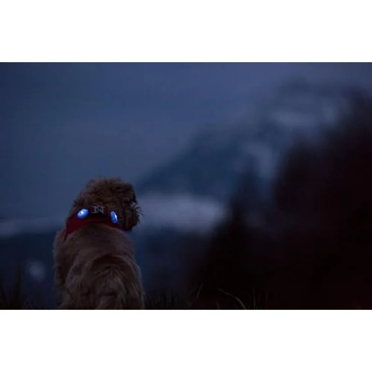 plum LED Schwarz, Schwarz – Bild 5