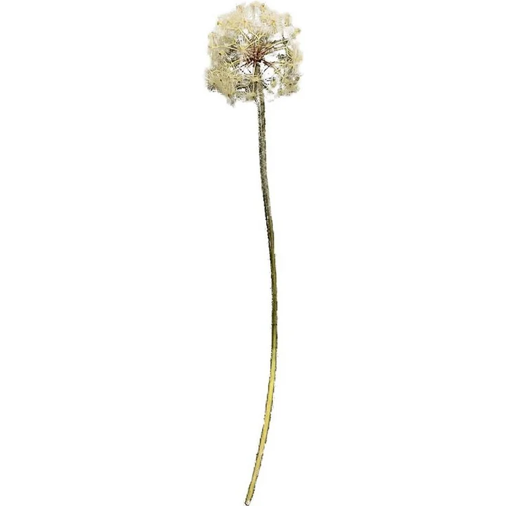 HTI-Living Kunstblume Pusteblume Flora, naturgetreu nachgebildete Dekoblume, Höhe 91 cm