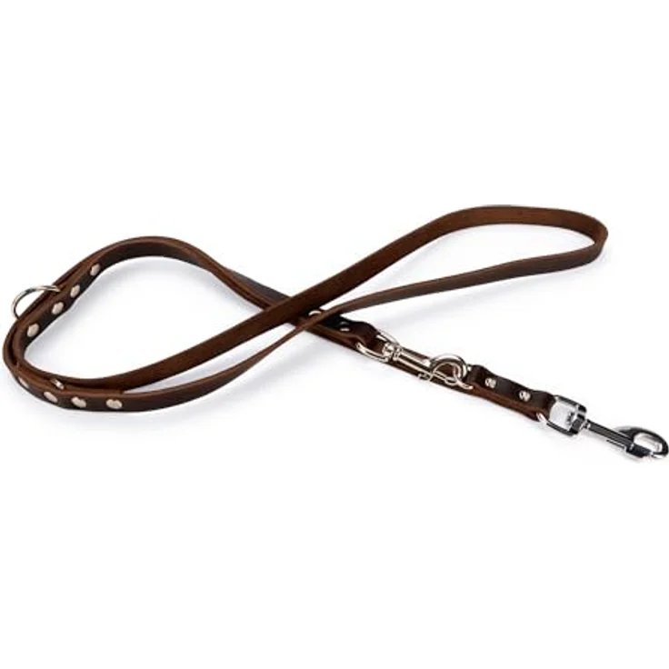 Karlie Rodeo (M, Hund, Spazieren), Halsband + Leine – Bild 2