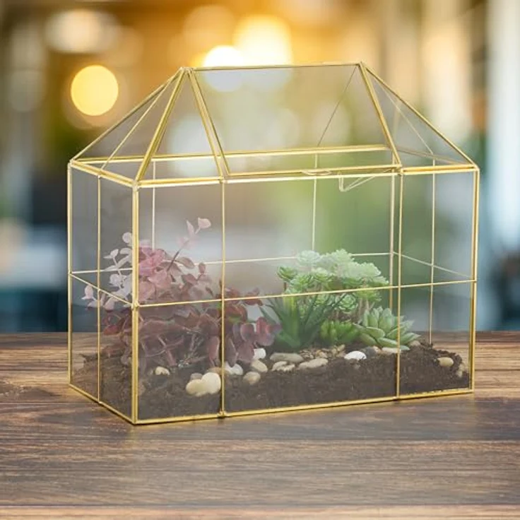 Relaxdays Großes Pflanzenterrarium in Hausform, Glas, ideal für Sukkulenten und Moos, Maße 27 x 30 x 15 cm – Bild 3