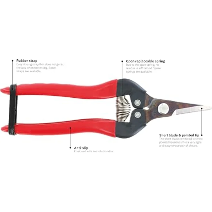Ars 300SS, Traubenschere, 1228-00 mittelgroß 17,1 cm 100g Gartenschere Leseschere Ernteschere – Bild 9