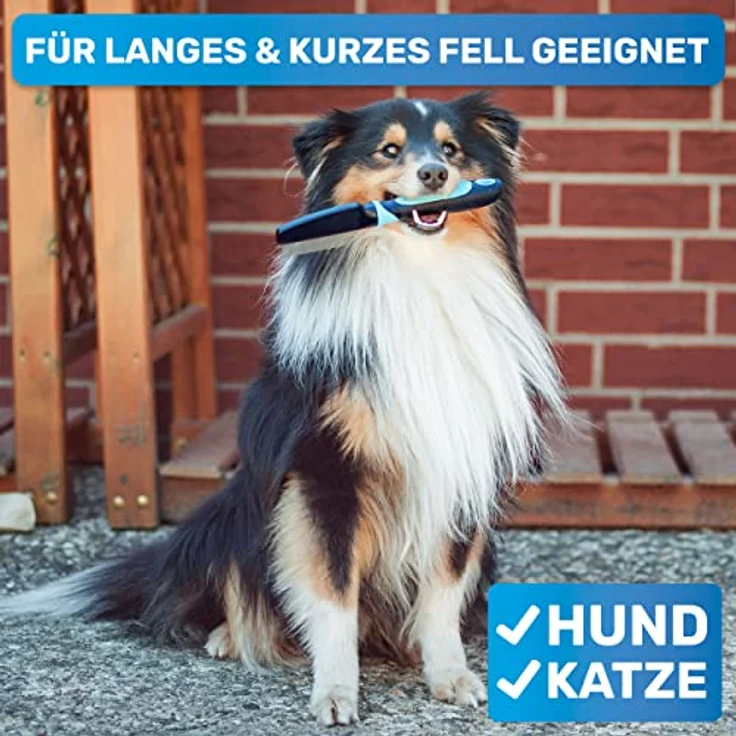 BluePet "FlohGo" Professioneller Flohkamm & Läusekamm Für Hunde & Katzen - Sanft & Sicher Dank Abgerundeter Zinken – Bild 4