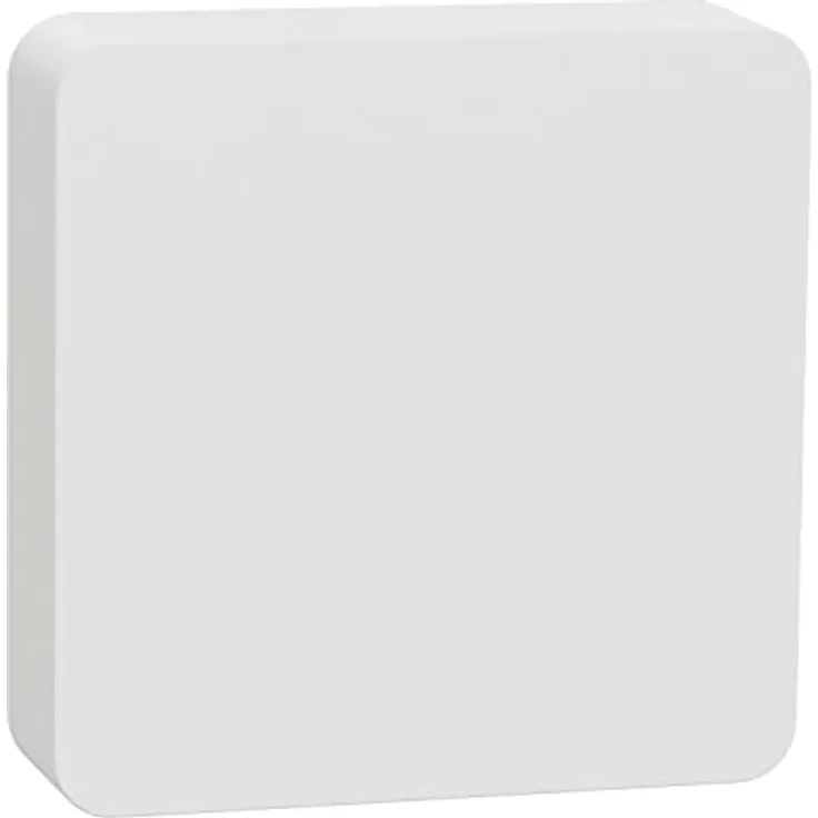 Schneider Electric Smart Home Temperatur- und Luftfeuchtigkeitssensor zur Heizungssteuerung, Standalone oder mit App Funktion, austauschbare Batterie, CCT593012