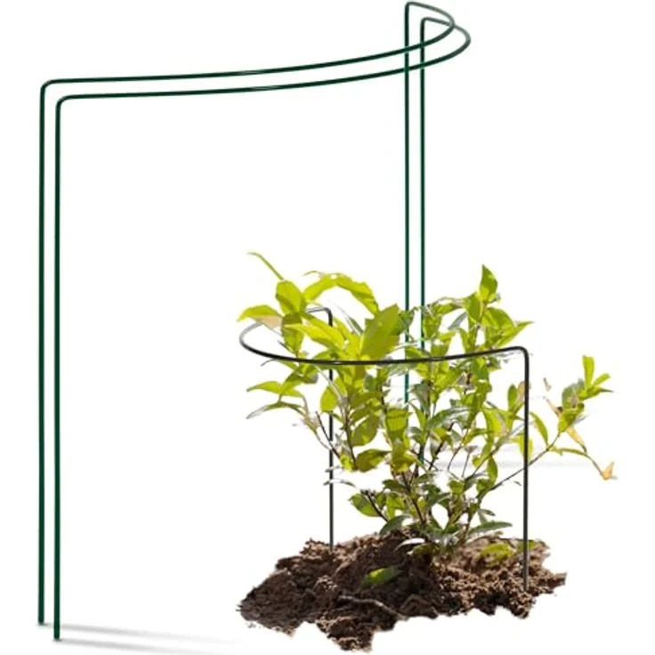 Novatool 2 Strauchstütze Metall halbrund, grüner Staudenhalter für Pflanzen ab 40 cm, wetterfeste Rankhilfe für Rosen und andere Blütenpflanzen – Bild 1