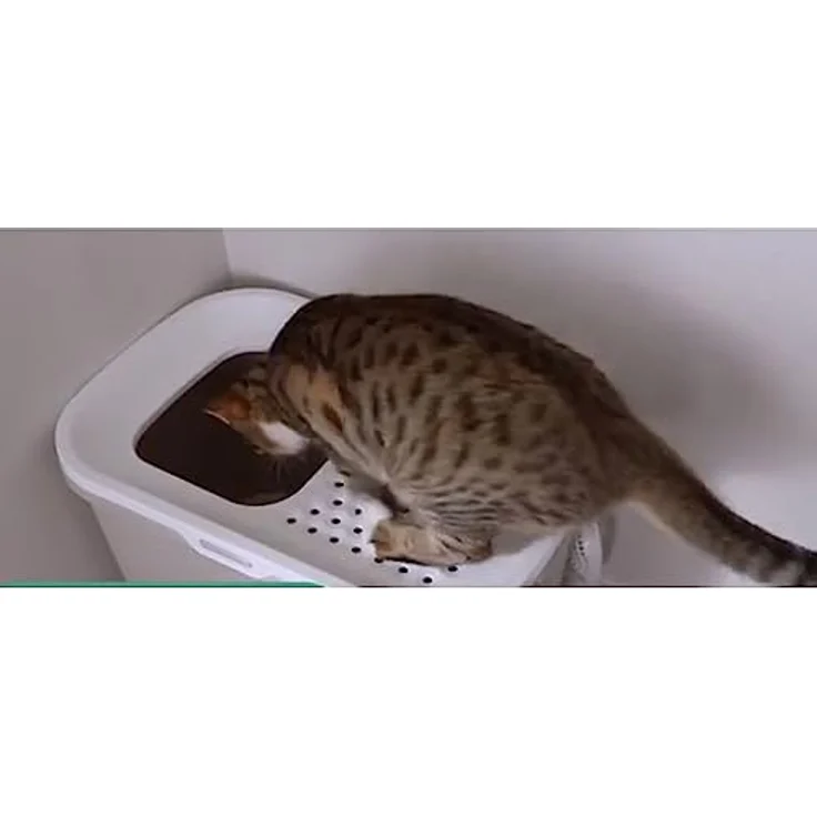 Nobby Katzentoilette & Hop In anthrazit - weiß 58,5 x 39 x 39,5 cm – Bild 2