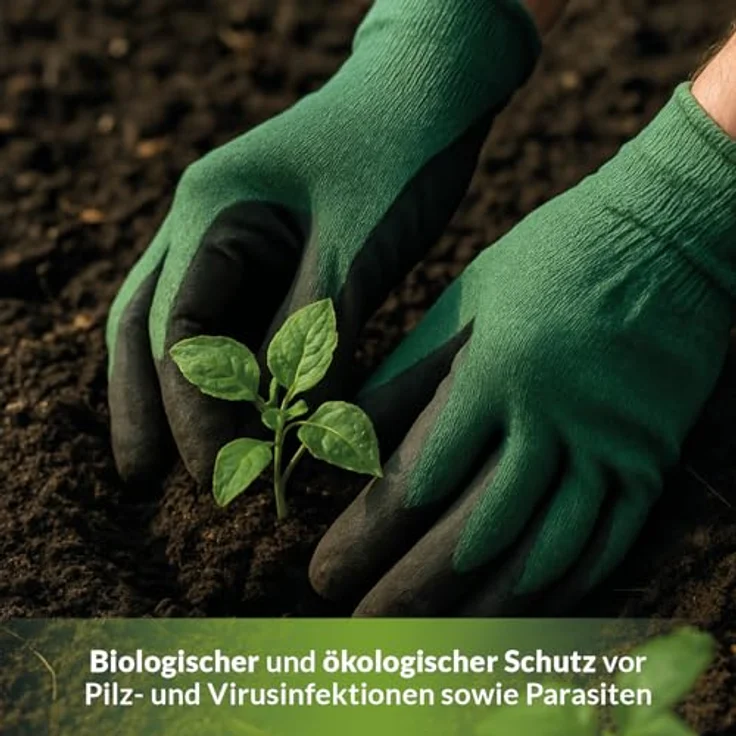 TerraDomi 25kg Algenkalk 100% echter Meereskalk zur Stärkung der Widerstandsfähigkeit – Bild 5