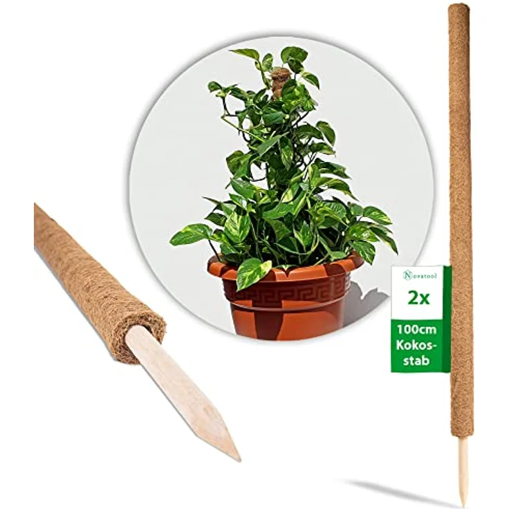 Novatool 2X Pflanzstäbe Kokos, 110 cm verlängerbar, Ø 45 mm, natürliche Kokosfaser, Rankhilfe für Monstera deliciosa – Bild 1