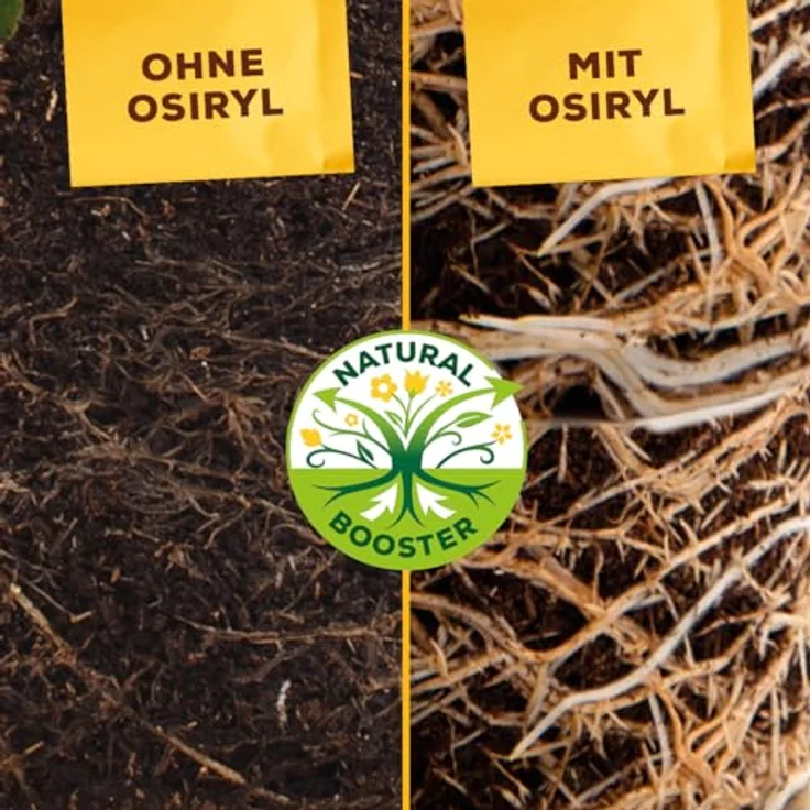 Solabiol Blumen- & Staudendünger, Spezialdünger mit Sofort- und Langzeitwirkung für Blumen, Stauden und Blütensträucher, 2,5 kg, organisch-mineralisch mit Wurzelaktivator Osiryl – Bild 5