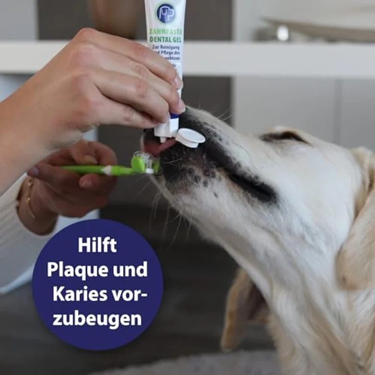 Canosept Hundezahnpasta Dental Gel 100g - Zahnpasta für Hunde - Zahnpasta Hund - Hunde Zahncreme - Zahnpflege Hund - bei Mundgeruch Hund - Hundezahnpasta gegen Zahnstein, natürliche Inhaltsstoffe (Minze) - von Tierärzten empfohlen – Bild 2