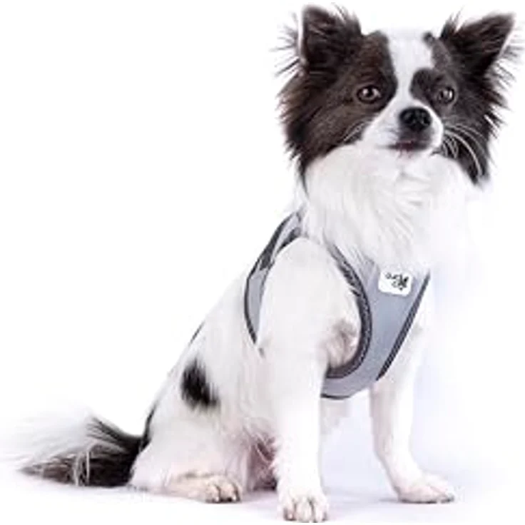Curli Hunde-Geschirr Clasp Vest Glow Reflective Gray, Hundegeschirr mit reflektierendem Gewebe und Tailored Ergo Fit – Bild 6