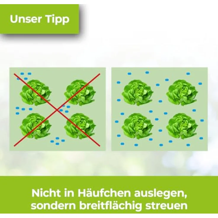 Bayer SchneckenkornProtectMaXX 1 kg – Bild 6