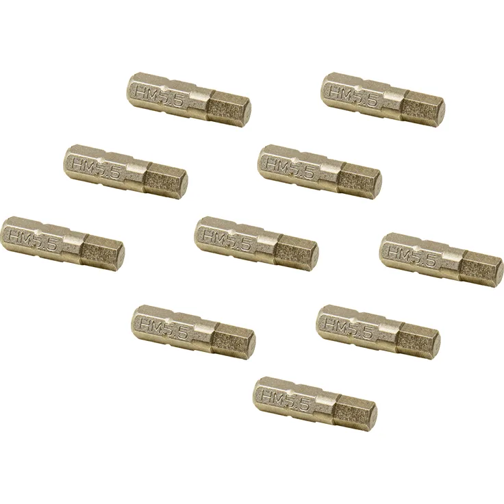 Projahn 10 Stück 5,5 mm Innensechskant Hex 1-4-'-' Bit für Zaunschrauben, Länge 25 mm