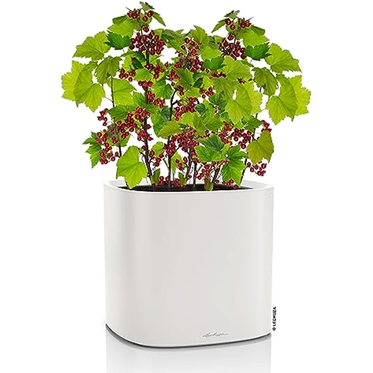 LECHUZA PILA Color Planter lichtgrau 15904 – Bild 2