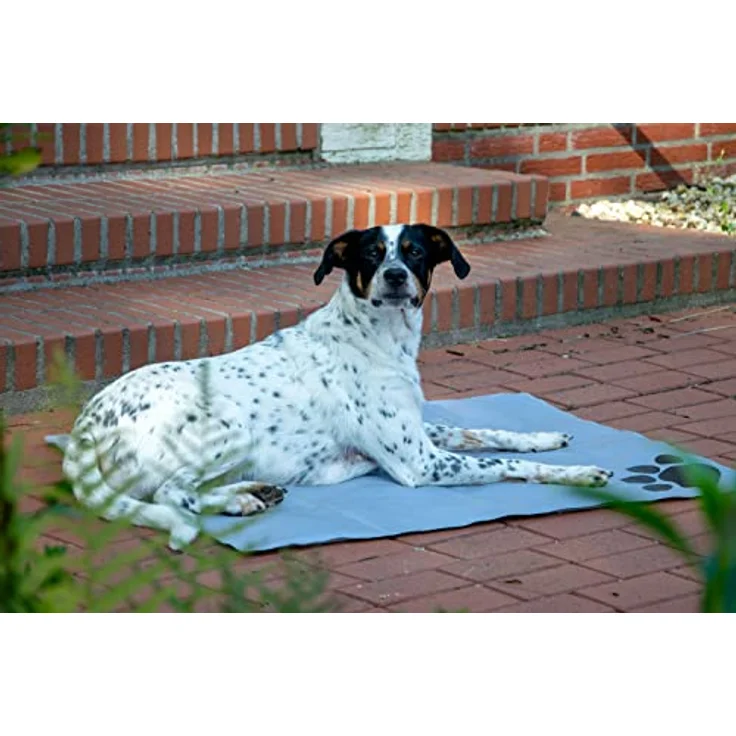 Dobar Kühlmatte mit Pfoten eckig L 99,5 x B 70 cm grau/schwarz, Selbstkühlend ohne Vorkühlen, für kleine und mittelgroße Hunde/Katzen – Bild 6