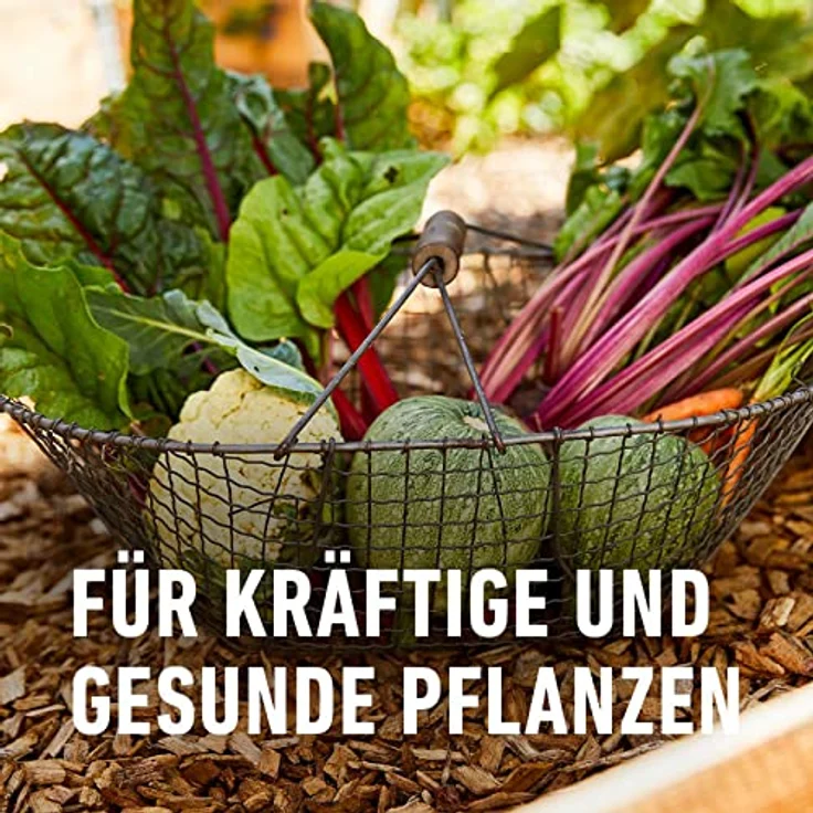 Compo Garten Langzeit-Dünger neu, 2 kg – Bild 7
