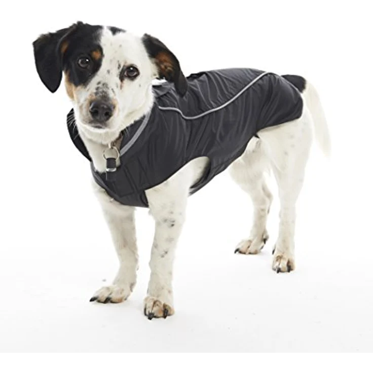 Kruuse Buster Softshell - Hundejacke, wasser- und winddicht, atmungsaktiv, blau – Bild 4