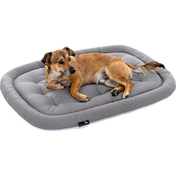Pointer | Hundekissen waschbar, orthopädisches Hundebett für kleinere Hunde (M - 70x50 cm, Hellgrau)