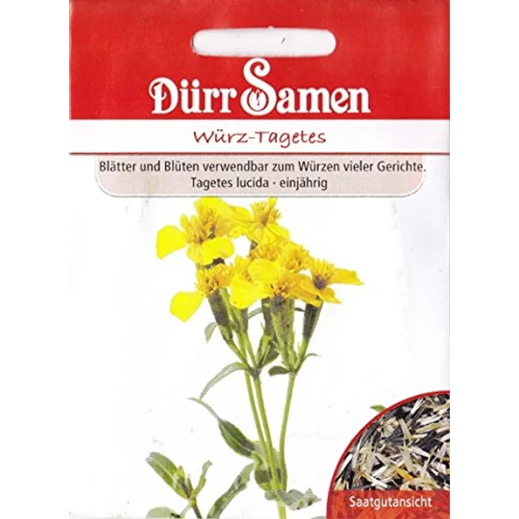DÜRR-SAMEN Dürr-samen - Würztagetes | Würztagetessamen  – Bild 2