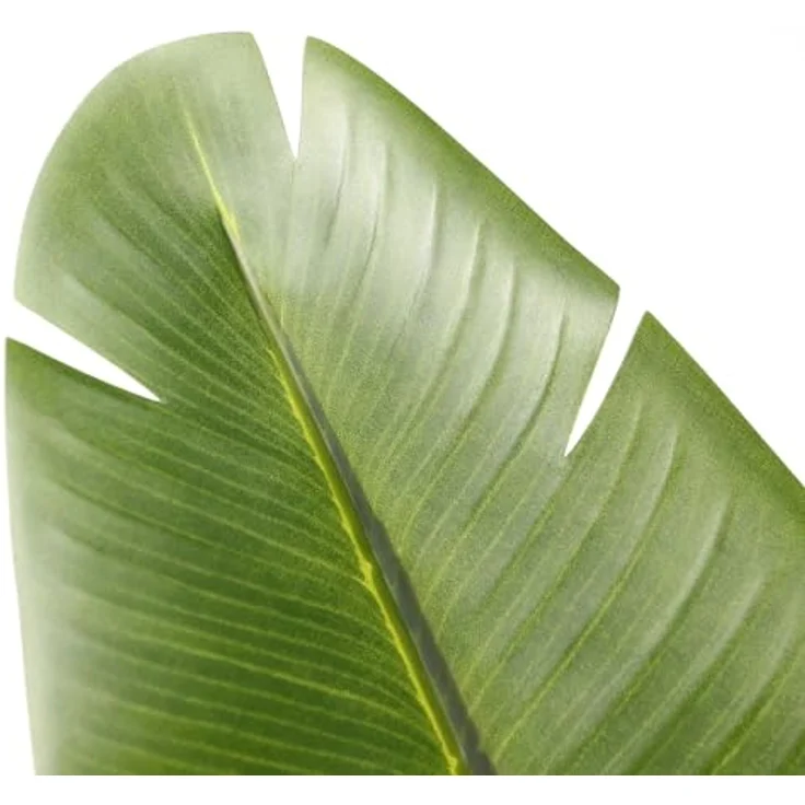 hjh OFFICE Kunstpflanze Banane künstliche Deko Pflanze 170 cm, Pflegeleichte Bananenstaude, Kunstbaum Grün 871051 – Bild 2