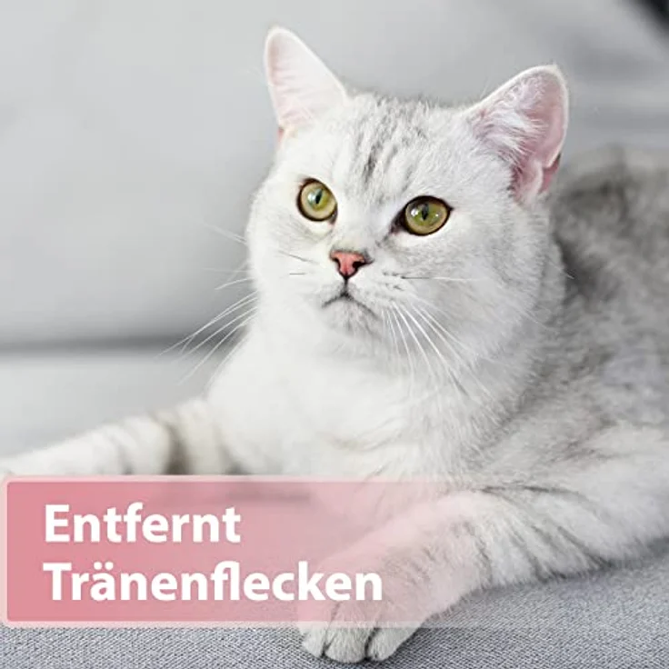 Felisept Augenpflege-Pads für Katzen, 100 Stück, mit Aloe Vera-Extrakt zur Entfernung von Tränenflecken – Bild 4