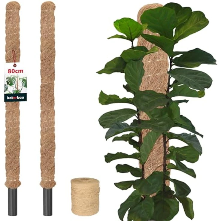 KOTARBAU® 2er Set Moosstab für Monstera, Kokos Natural, ⌀ 3,2 x 80 cm, Rankhilfe für Pflanzen, stabil und dekorativ – Bild 1