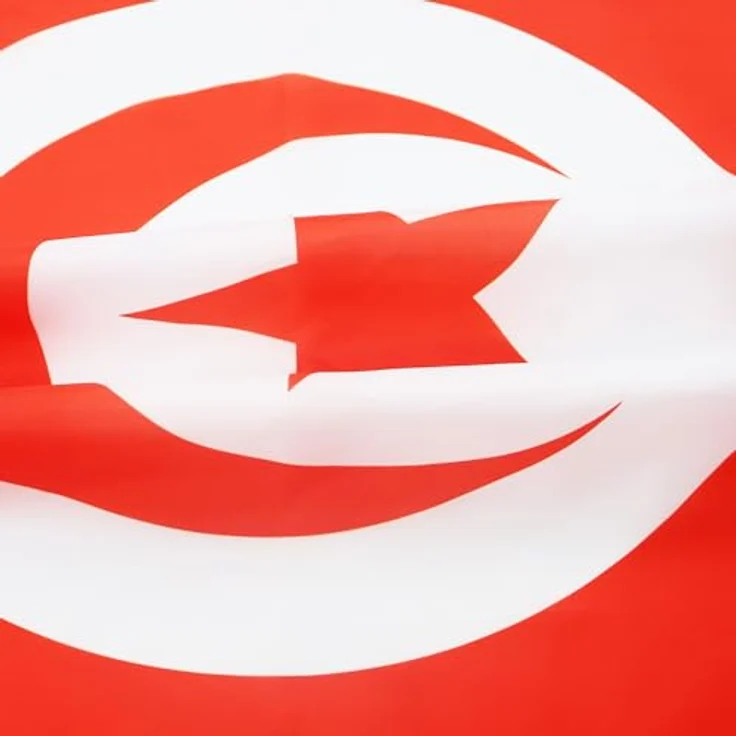 AZ FLAG Flagge Tunesien 250x150 cm, 100% Polyester mit Messing-Ösen, UV-beständig, verstärkte Ecken, 300g – Bild 3