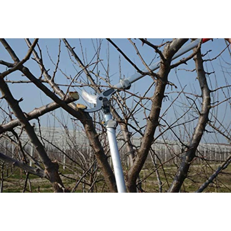 Getriebeastschere FELCO 220 – Bild 2