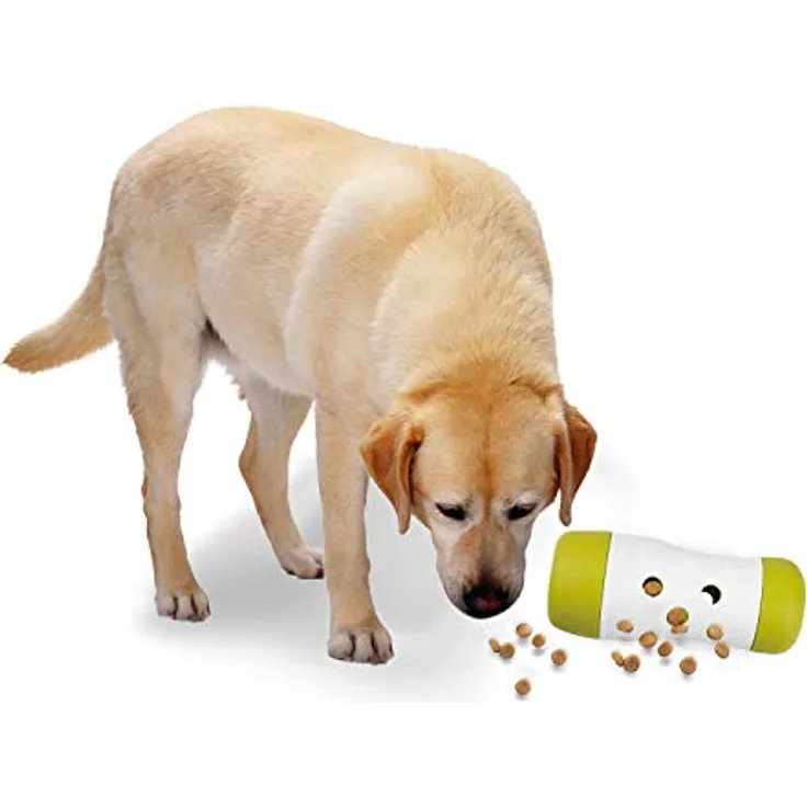 ALL FOR PAWS Interactives Leckerli-Bombe für Hunde, 1,8 kg