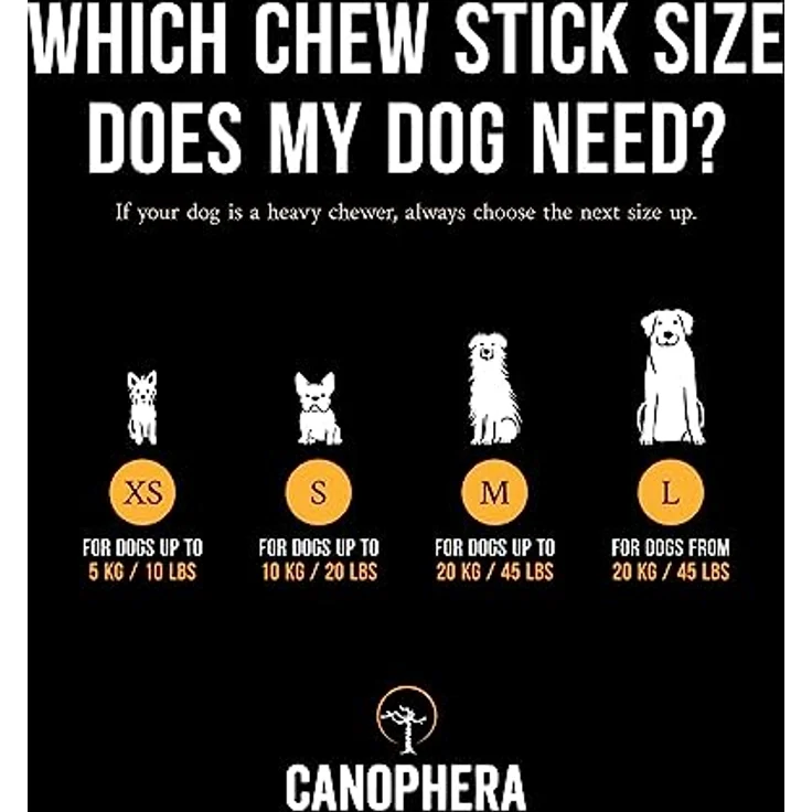 Canophera Original Kaffeeholz Hundekaustab | Natürliches, splitterarmes Hundespielzeug zur Zahnpflege, vegan & koffeinfrei, Größe S – Bild 3