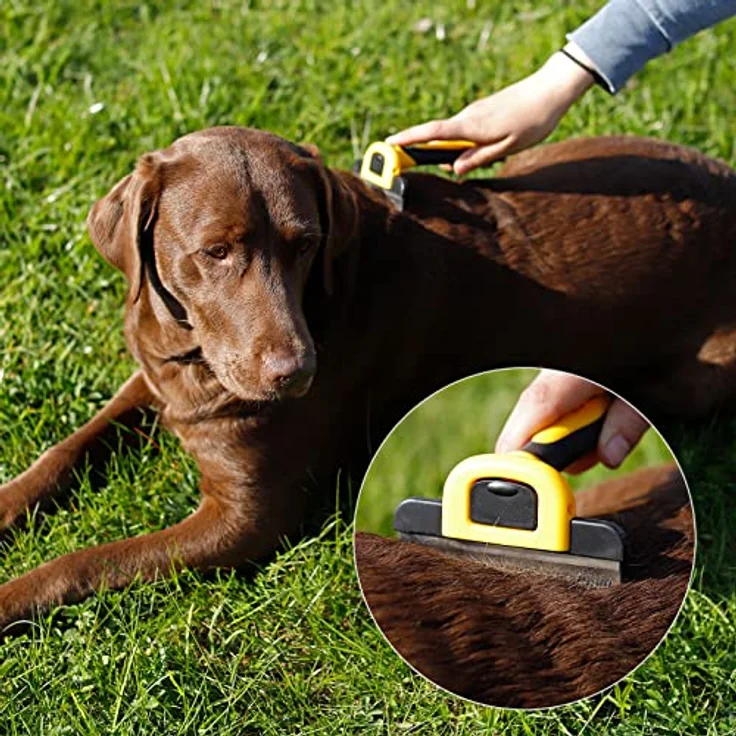 lionto Unterfellbürste für Hunde Hundebürste Unterfellkamm Fellpflegebürste Hundekamm, breit – Bild 3