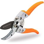 GRÜNTEK Amboss Gartenschere BUSSARD, 200 mm, Teflon-Beschichtete 50 mm SK5 Klinge, leichtgängiger Schnitt, ergonomische Griff-Form, Stoßdämpfer, hoher Comfort, Ast-Blumen Ambosschere in Grün