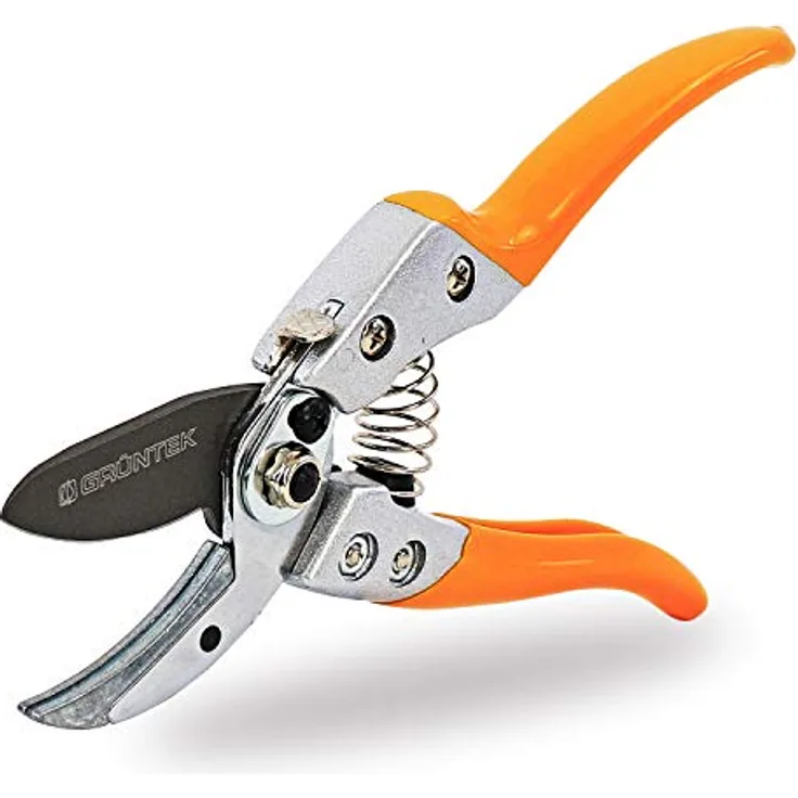 GRÜNTEK Amboss Gartenschere BUSSARD, 200 mm, Teflon-Beschichtete 50 mm SK5 Klinge, leichtgängiger Schnitt, ergonomische Griff-Form, Stoßdämpfer, hoher Comfort, Ast-Blumen Ambosschere in Grün