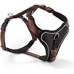 Geschirr Professional Comfort Gr.5