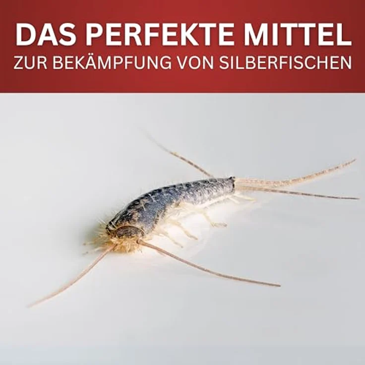 Bioformel LTK-008 Anti Silberfisch Spray Ex 5L, hochwirksames Silberfischmittel mit Langzeitwirkung, fleckenfrei für Indoor & Outdoor – Bild 3